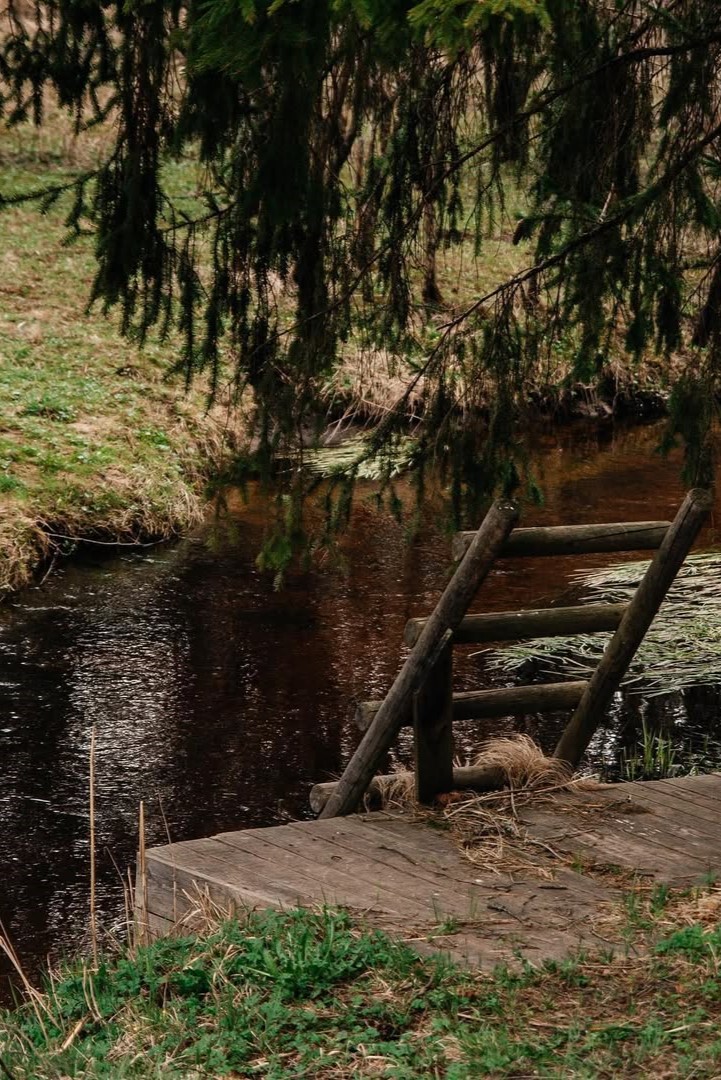 Живописная речка