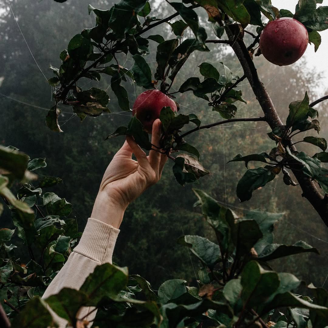 детская площадка