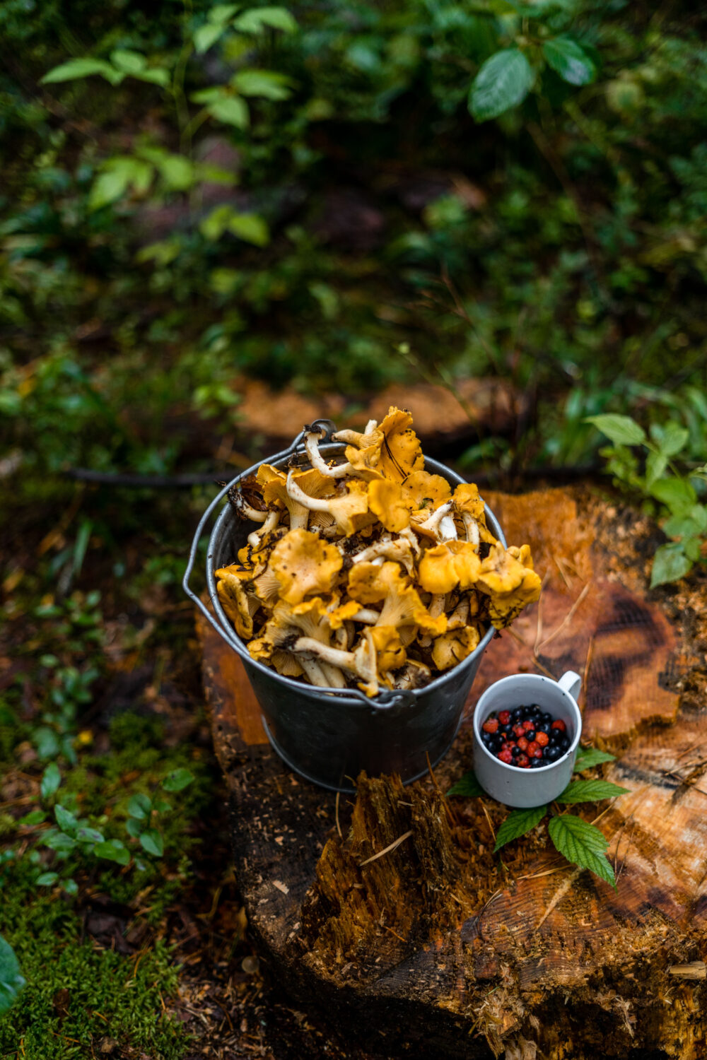 photo_5386597130963122300_y