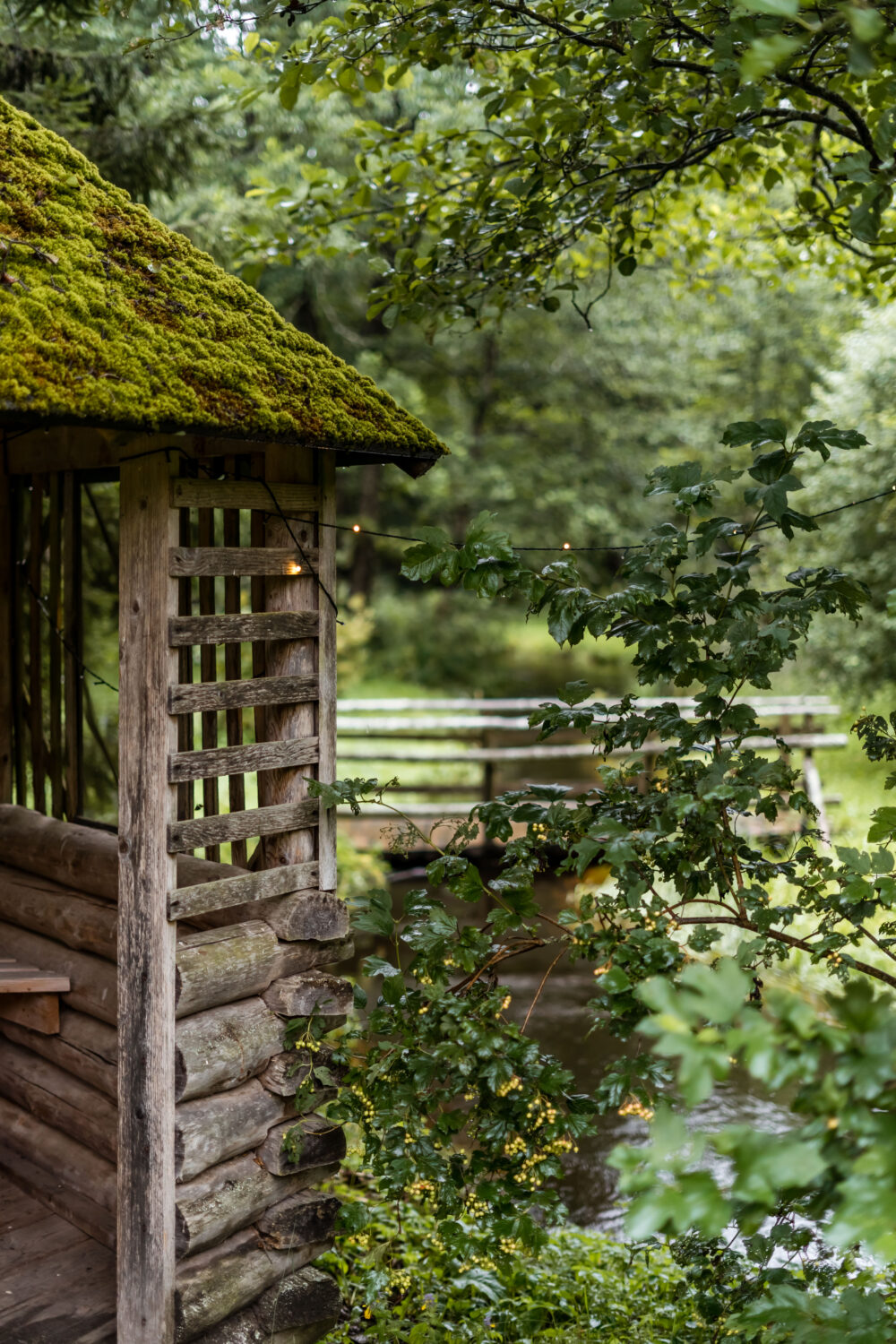 photo_5386597130963122300_y