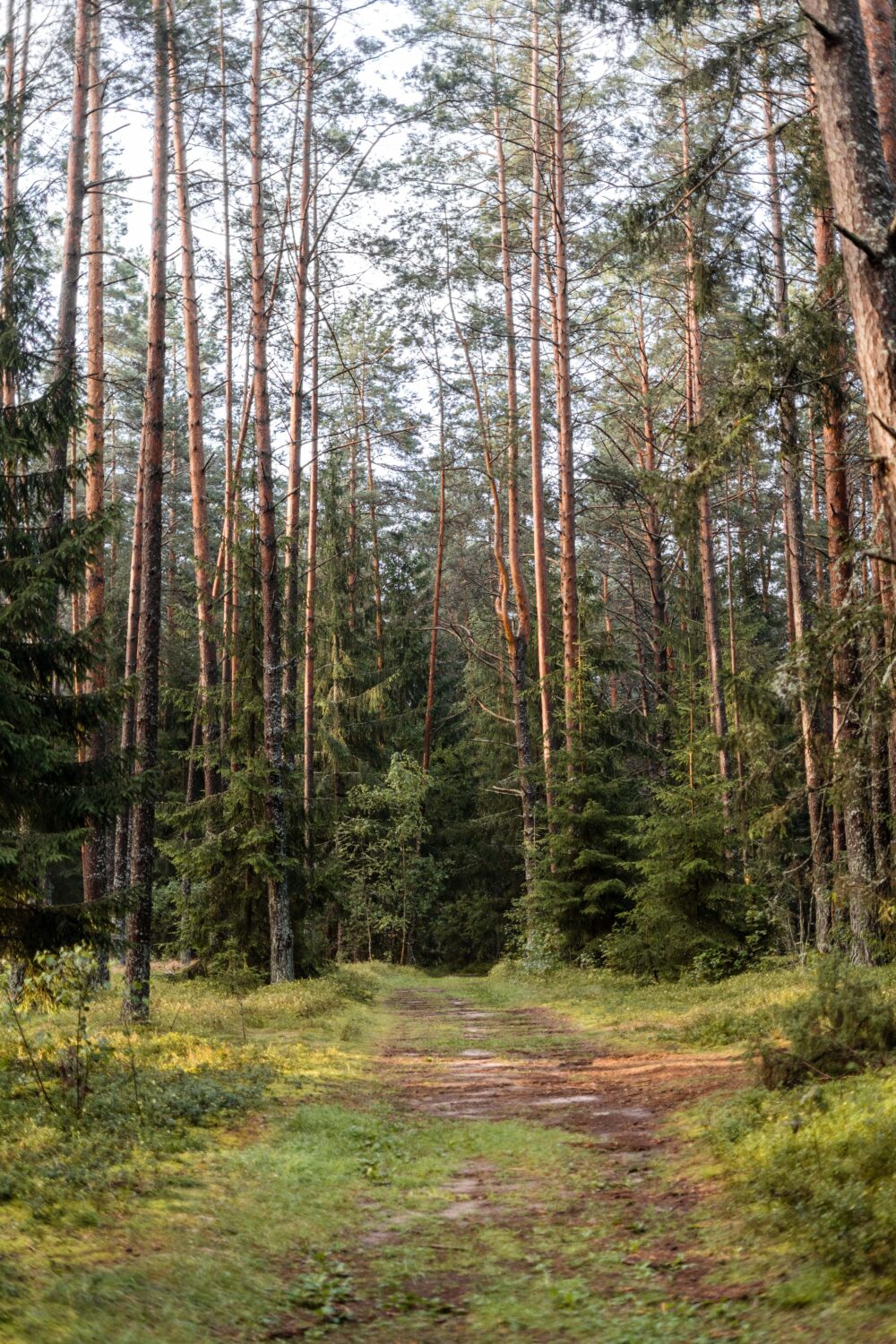 photo_5386597130963122300_y