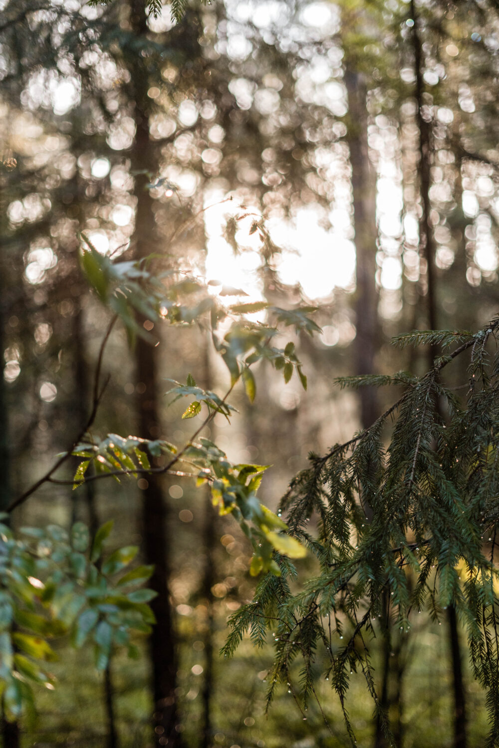 photo_5386597130963122300_y