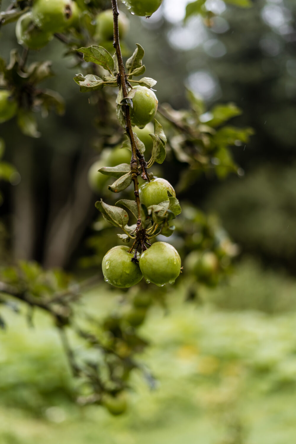 photo_5386597130963122300_y