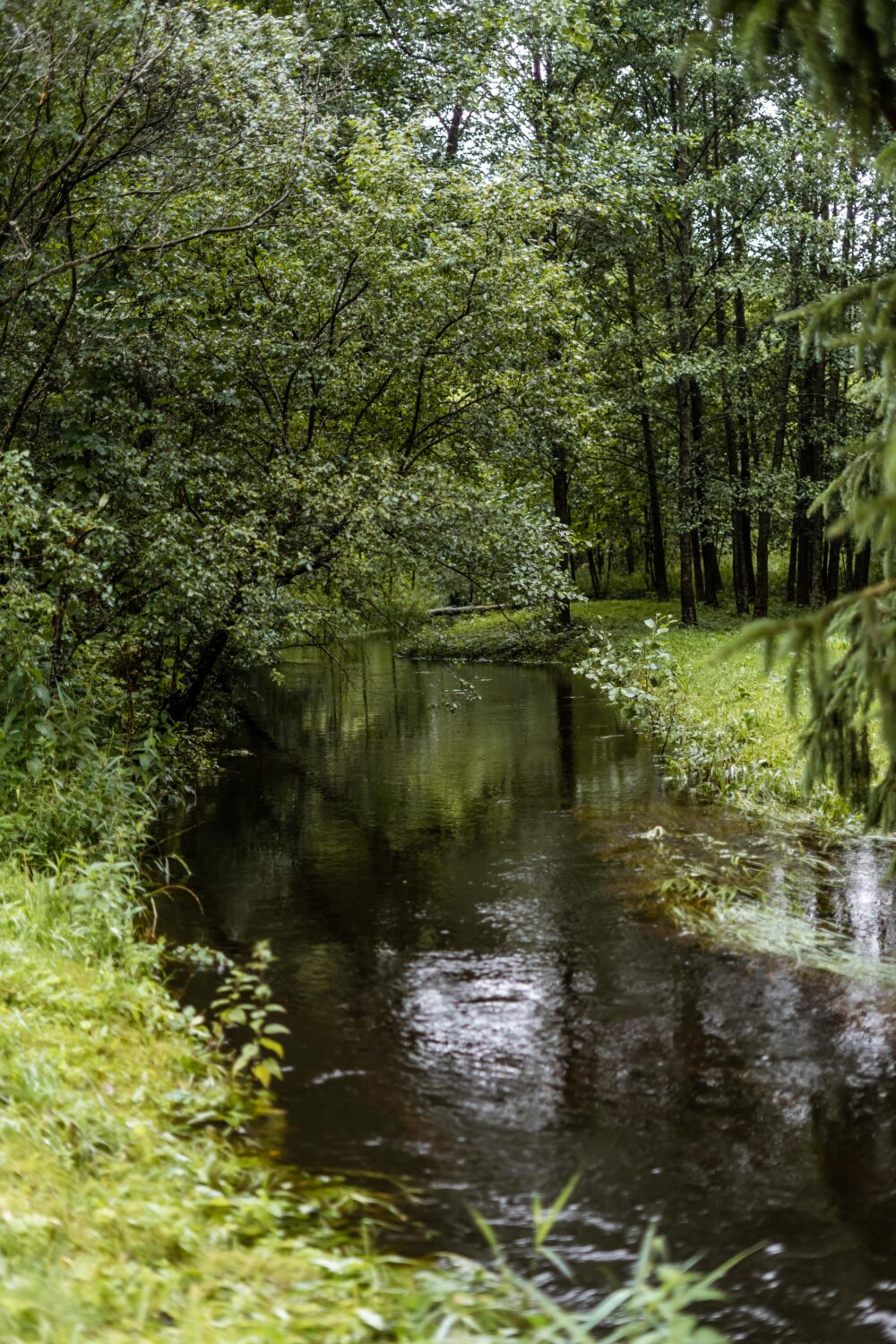 photo_5386597130963122300_y