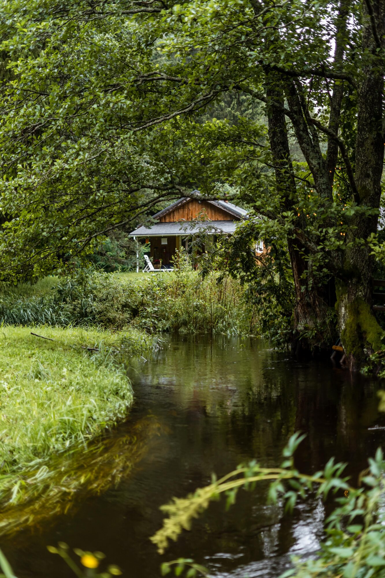 photo_5386597130963122300_y