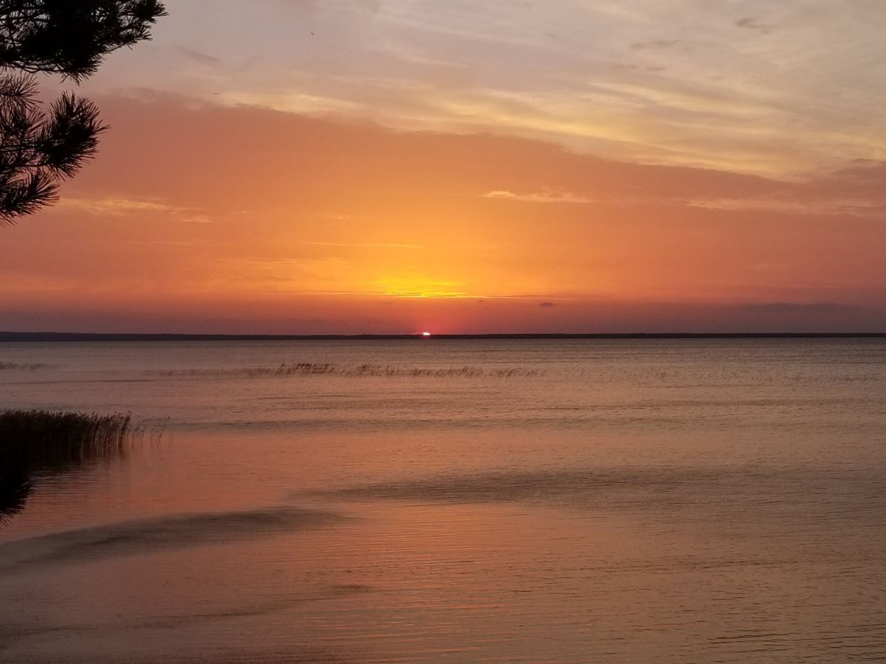 photo_5386597130963122300_y