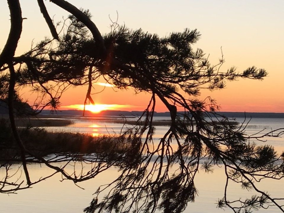 photo_5386597130963122300_y