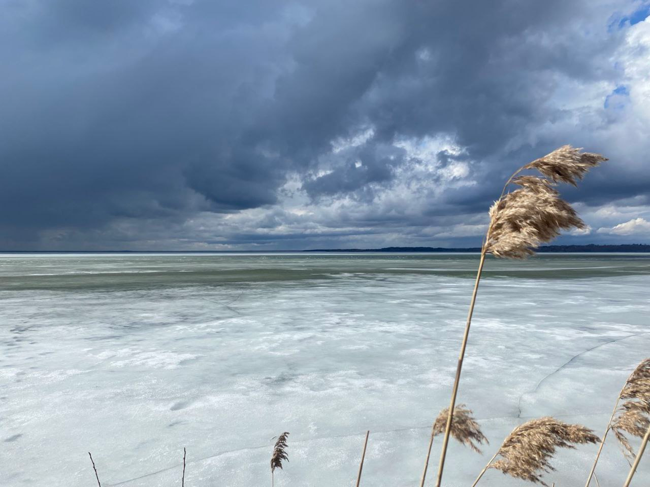 photo_5199894559008608944_y