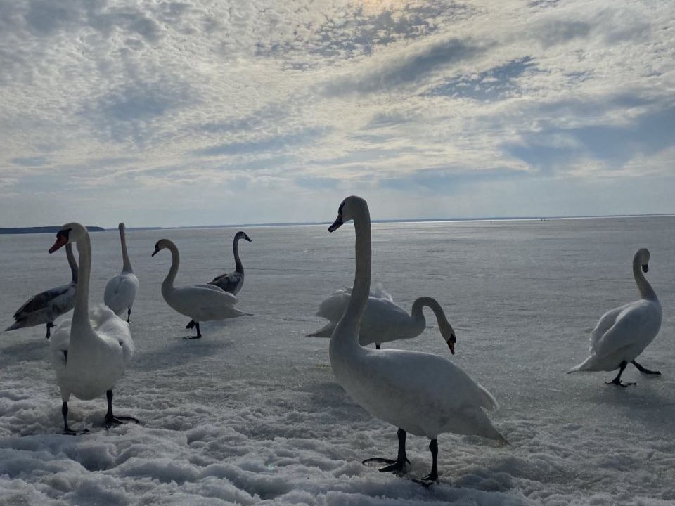 photo_5199894559008608944_y