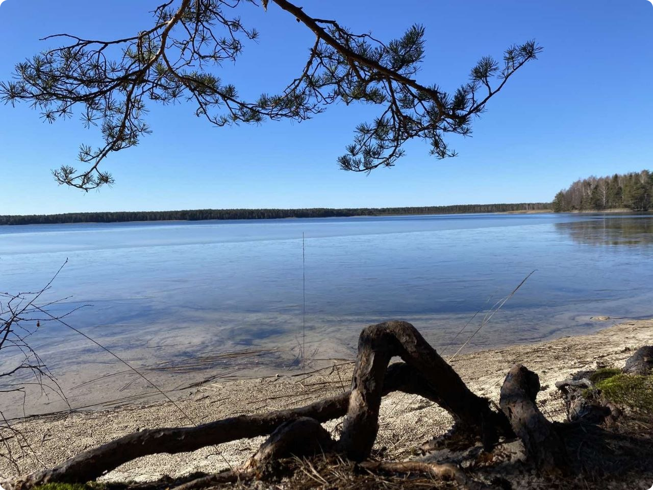 photo_5199894559008608944_y