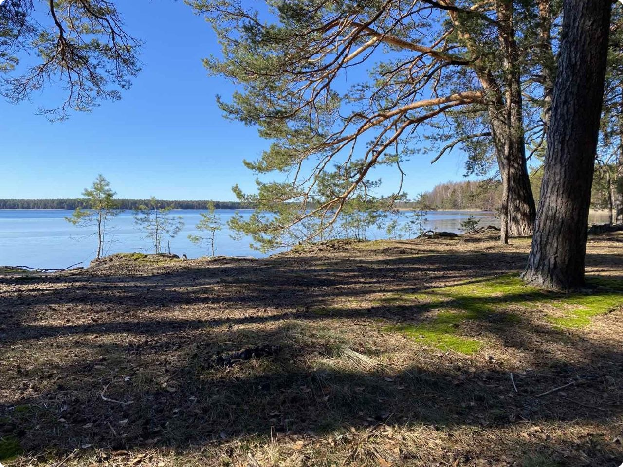 photo_5199894559008608944_y