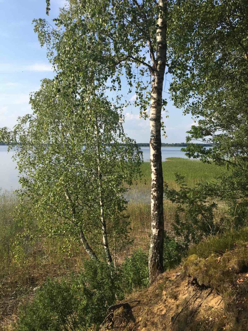 photo_5386597130963122300_y