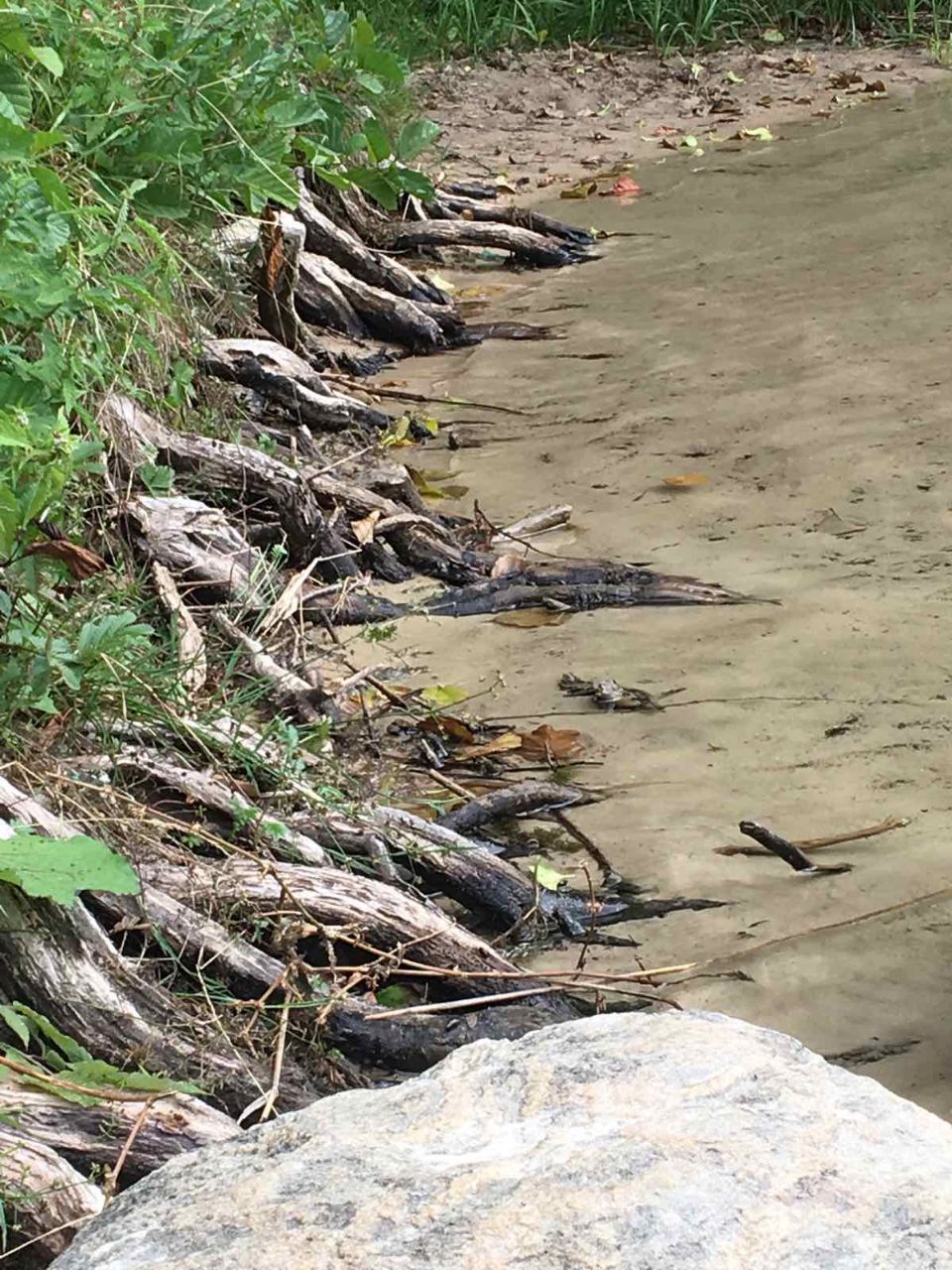 photo_5386597130963122300_y